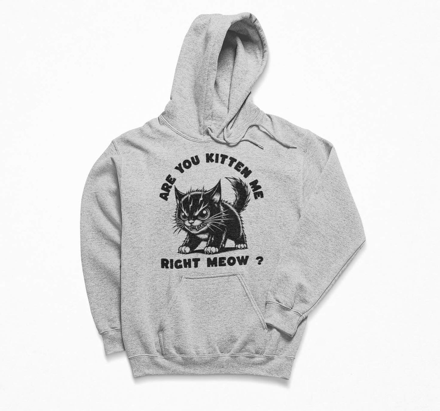 Are You Kitten Me Right Meow ? - Funny Cat Hoodie