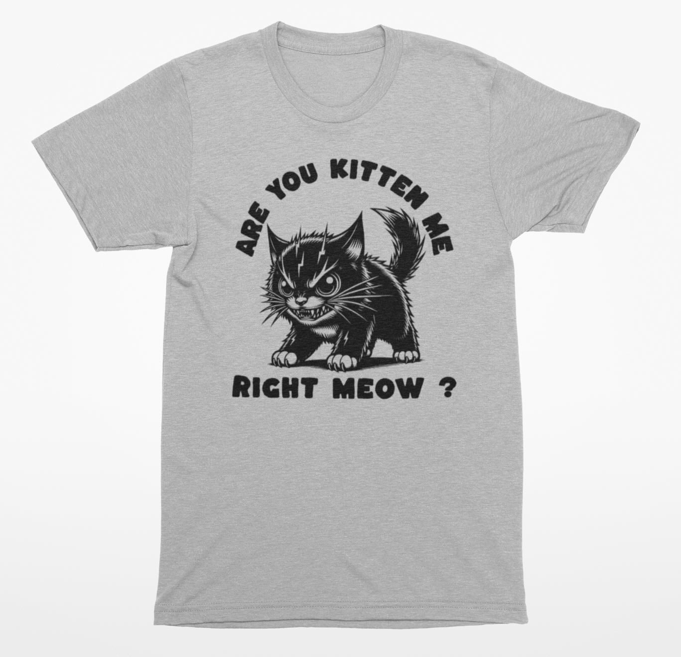 Are You Kitten Me Right Meow ? - Funny Cat T Shirt