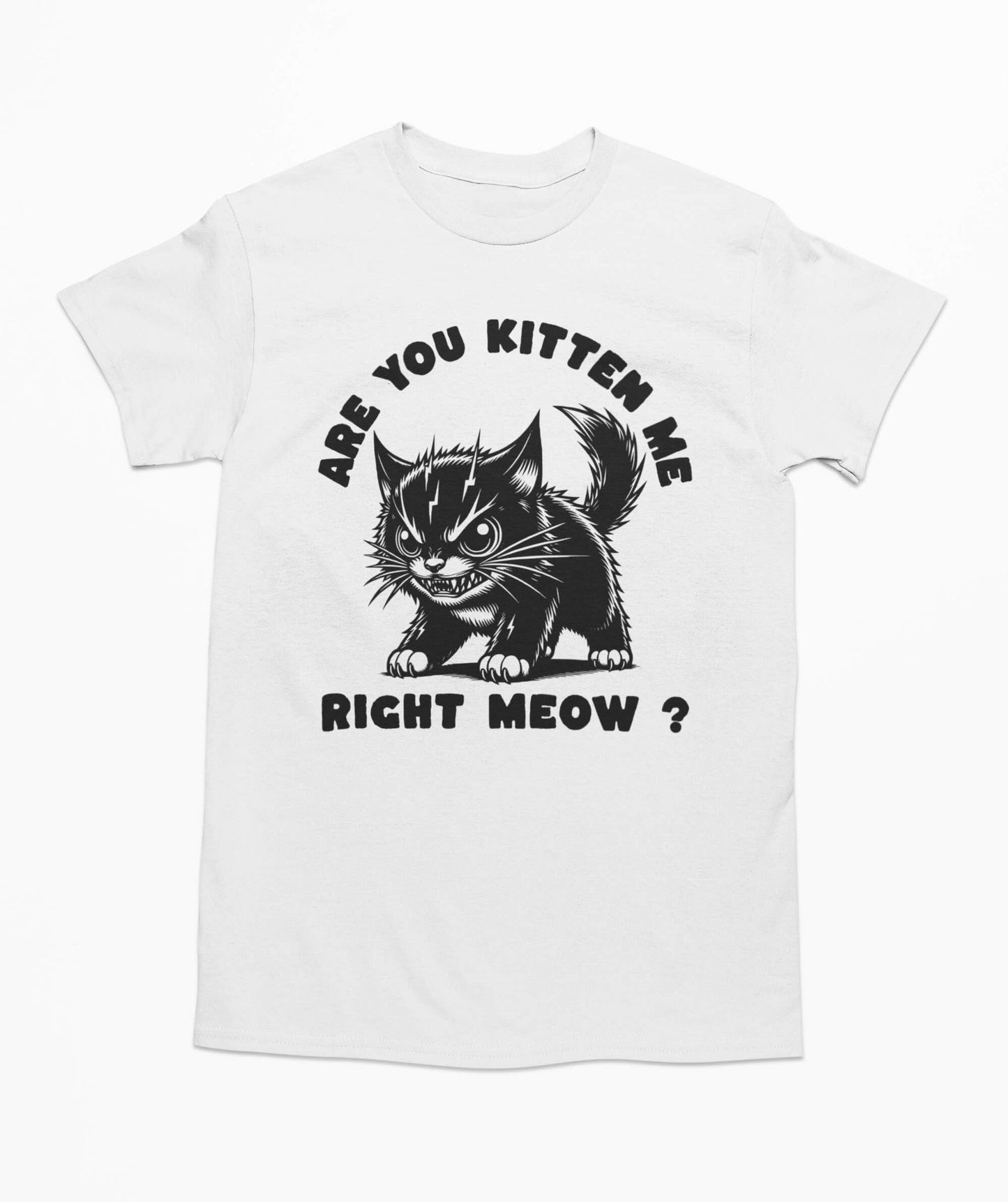 Are You Kitten Me Right Meow ? - Funny Cat T Shirt